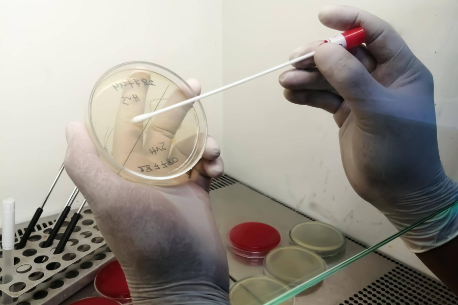 In vitro przygotowanie przebieg szanse ryzyka a decyzja o leczeniu niepłodności